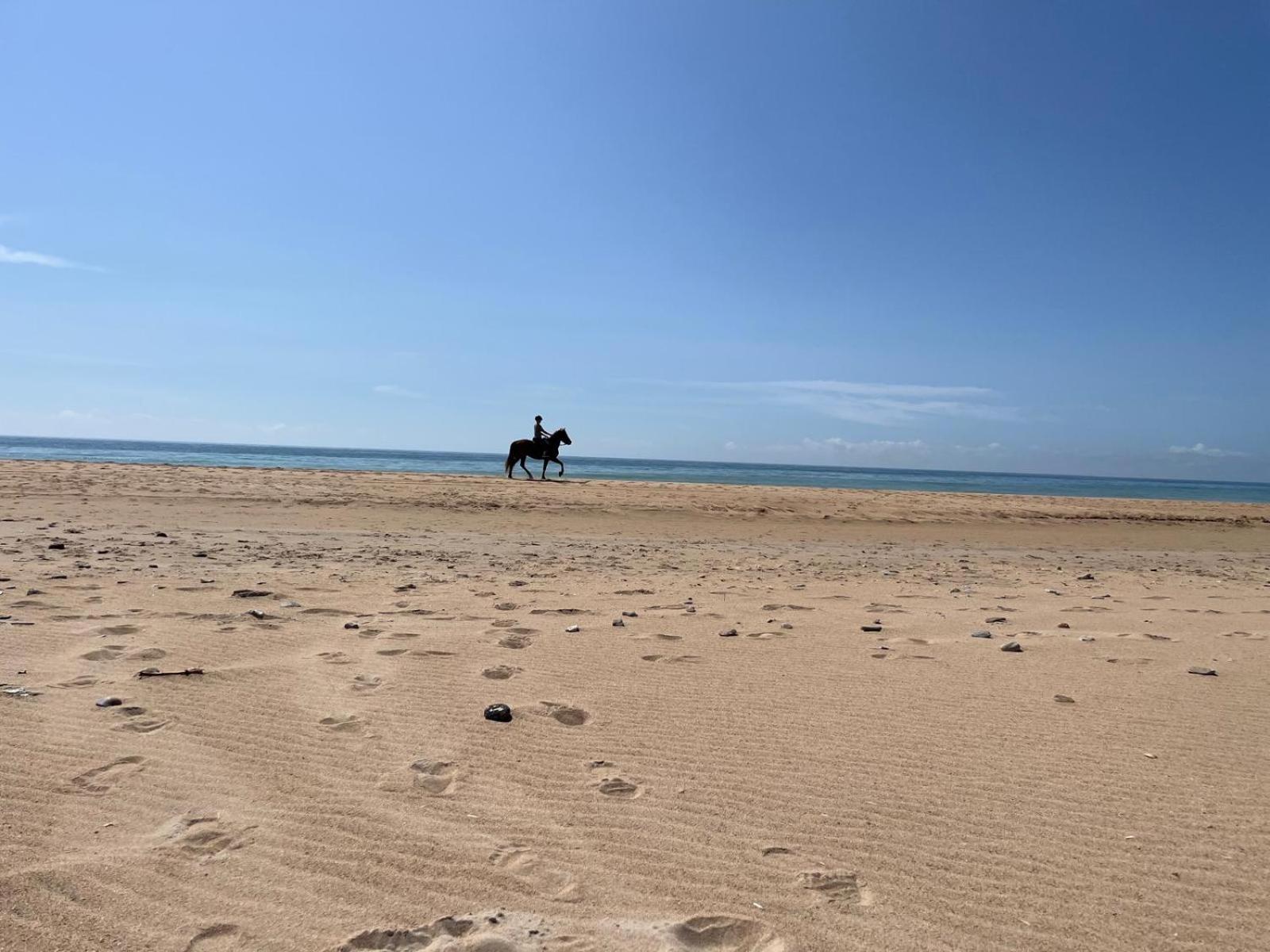 Casa Awa El Palmar (Andalucia)